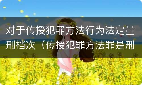 对于传授犯罪方法行为法定量刑档次（传授犯罪方法罪是刑法第几条）