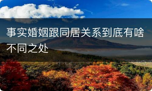 事实婚姻跟同居关系到底有啥不同之处