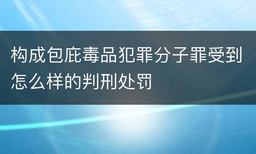 构成包庇毒品犯罪分子罪受到怎么样的判刑处罚