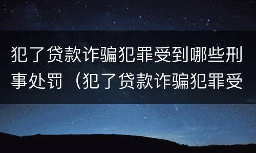 犯了贷款诈骗犯罪受到哪些刑事处罚（犯了贷款诈骗犯罪受到哪些刑事处罚呢）