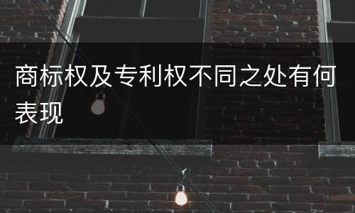 商标权及专利权不同之处有何表现
