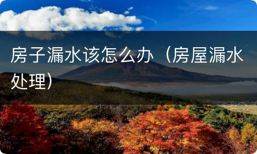 房子漏水该怎么办（房屋漏水处理）