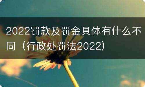 2022罚款及罚金具体有什么不同（行政处罚法2022）