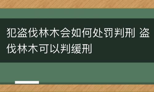 犯盗伐林木会如何处罚判刑 盗伐林木可以判缓刑