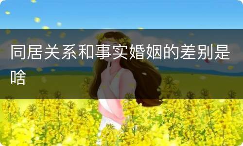 同居关系和事实婚姻的差别是啥