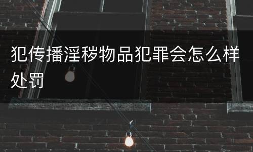 犯传播淫秽物品犯罪会怎么样处罚