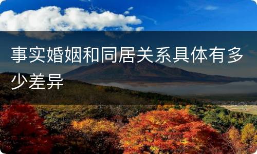 事实婚姻和同居关系具体有多少差异
