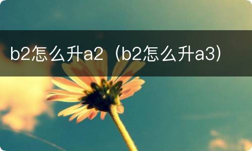 b2怎么升a2（b2怎么升a3）
