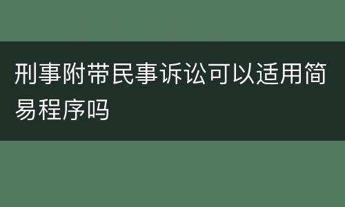 刑事附带民事诉讼可以适用简易程序吗