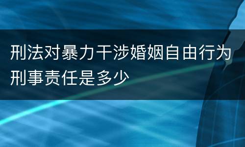 刑法对暴力干涉婚姻自由行为刑事责任是多少