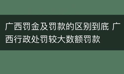 广西罚金及罚款的区别到底 广西行政处罚较大数额罚款
