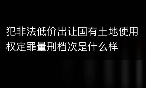 犯非法低价出让国有土地使用权定罪量刑档次是什么样