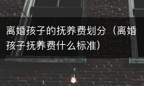 离婚孩子的抚养费划分（离婚孩子抚养费什么标准）