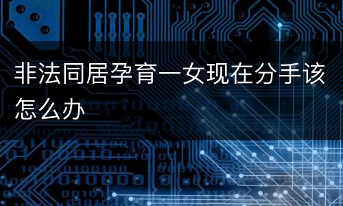 非法同居孕育一女现在分手该怎么办