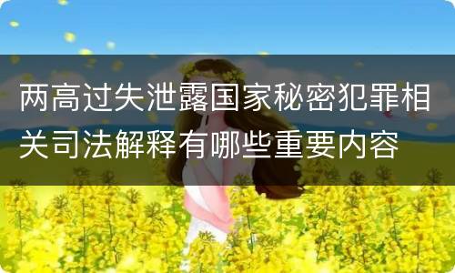 两高过失泄露国家秘密犯罪相关司法解释有哪些重要内容