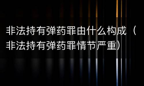 非法持有弹药罪由什么构成（非法持有弹药罪情节严重）