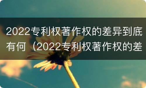 2022专利权著作权的差异到底有何（2022专利权著作权的差异到底有何影响）