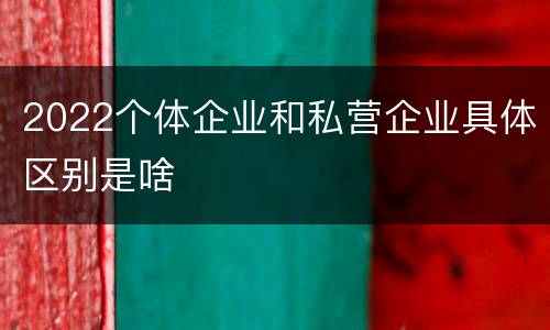 2022个体企业和私营企业具体区别是啥