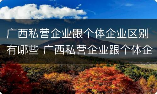 广西私营企业跟个体企业区别有哪些 广西私营企业跟个体企业区别有哪些呢