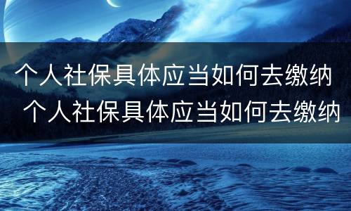 个人社保具体应当如何去缴纳 个人社保具体应当如何去缴纳的