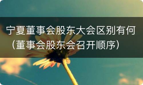 宁夏董事会股东大会区别有何（董事会股东会召开顺序）