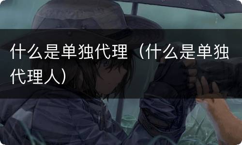 什么是单独代理（什么是单独代理人）