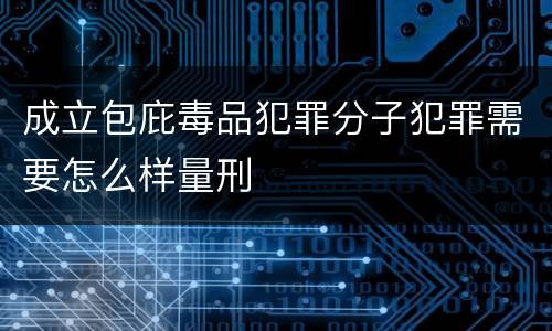 成立包庇毒品犯罪分子犯罪需要怎么样量刑