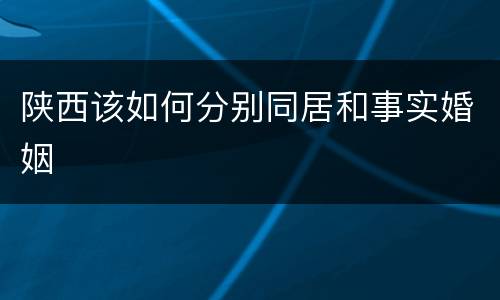 陕西该如何分别同居和事实婚姻