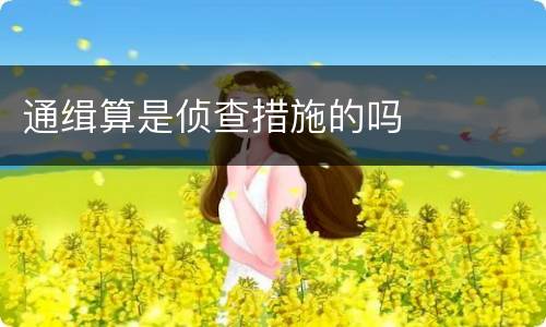 通缉算是侦查措施的吗