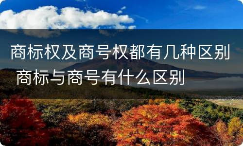 商标权及商号权都有几种区别 商标与商号有什么区别