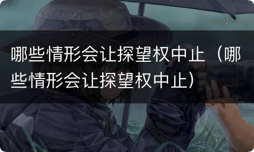 哪些情形会让探望权中止（哪些情形会让探望权中止）