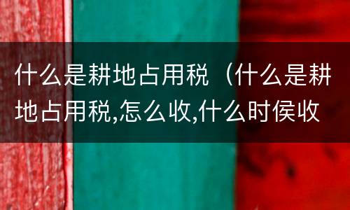 什么是耕地占用税（什么是耕地占用税,怎么收,什么时侯收）
