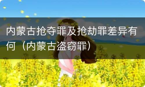 内蒙古抢夺罪及抢劫罪差异有何（内蒙古盗窃罪）