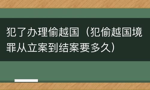 犯了办理偷越国（犯偷越国境罪从立案到结案要多久）