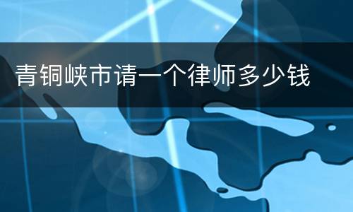 青铜峡市请一个律师多少钱