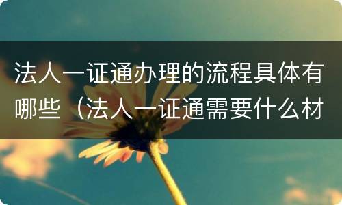 法人一证通办理的流程具体有哪些（法人一证通需要什么材料）