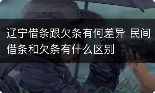 辽宁借条跟欠条有何差异 民间借条和欠条有什么区别