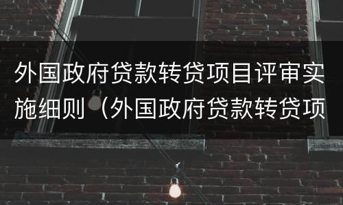 外国政府贷款转贷项目评审实施细则（外国政府贷款转贷项目评审实施细则解读）