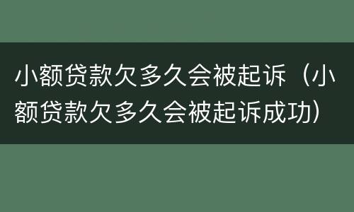 小额贷款欠多久会被起诉（小额贷款欠多久会被起诉成功）