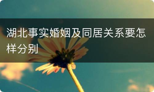 湖北事实婚姻及同居关系要怎样分别