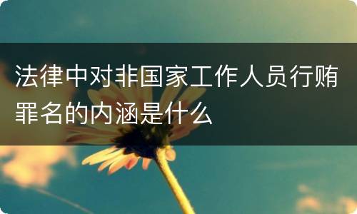 法律中对非国家工作人员行贿罪名的内涵是什么