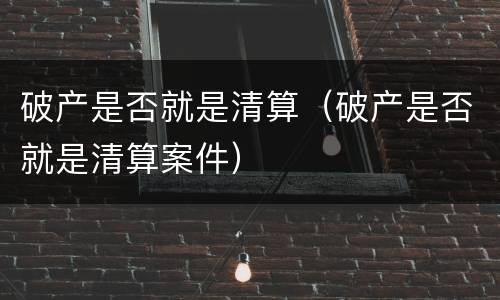 破产是否就是清算（破产是否就是清算案件）