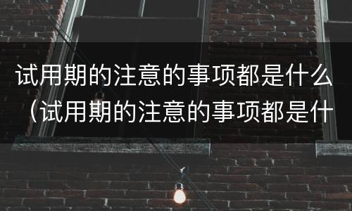 试用期的注意的事项都是什么（试用期的注意的事项都是什么内容）
