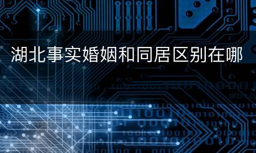 湖北事实婚姻和同居区别在哪