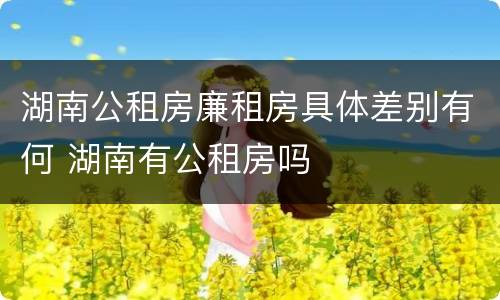 湖南公租房廉租房具体差别有何 湖南有公租房吗
