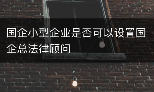 国企小型企业是否可以设置国企总法律顾问