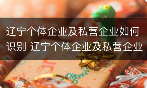 辽宁个体企业及私营企业如何识别 辽宁个体企业及私营企业如何识别法人