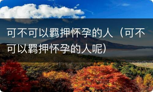 可不可以羁押怀孕的人（可不可以羁押怀孕的人呢）