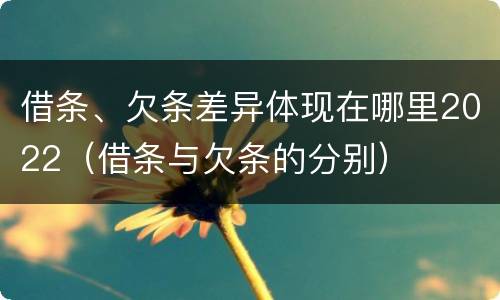 借条、欠条差异体现在哪里2022（借条与欠条的分别）