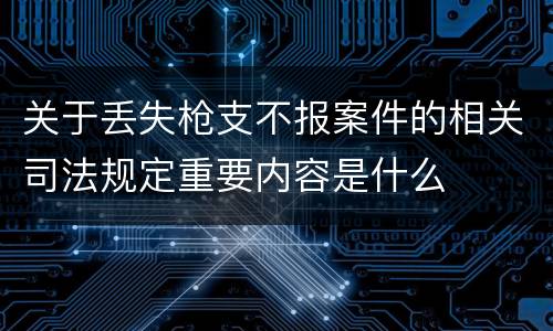 关于丢失枪支不报案件的相关司法规定重要内容是什么